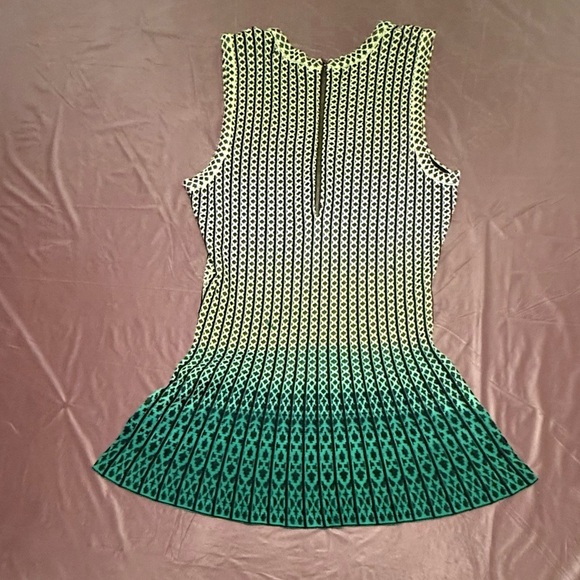 NIC+ZOE Green and Gray Ombre Sleeveless Peplum Tank Top Size Medium MSRP $148 - Picture 2 of 7